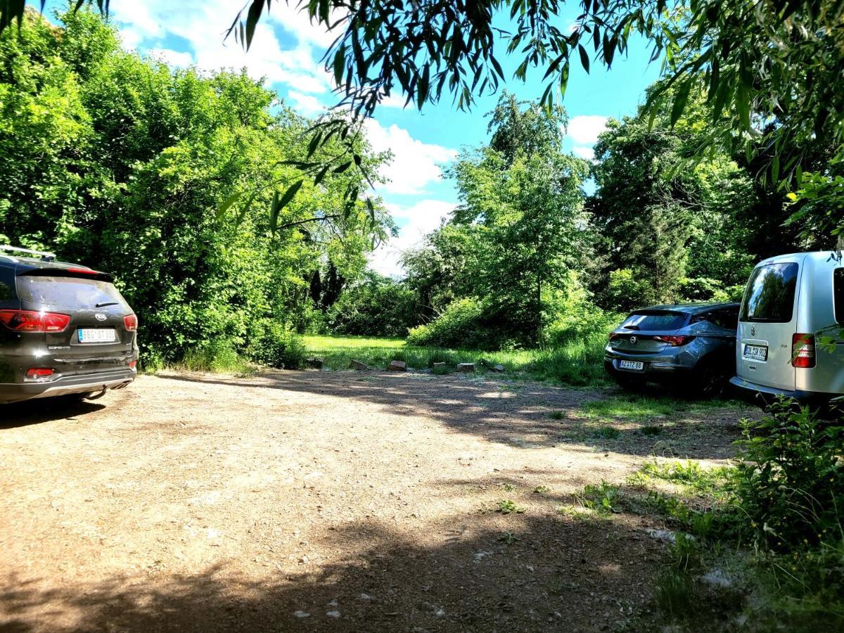 Ferienhaus Dr. Mueller Meißen Dış mekan fotoğraf