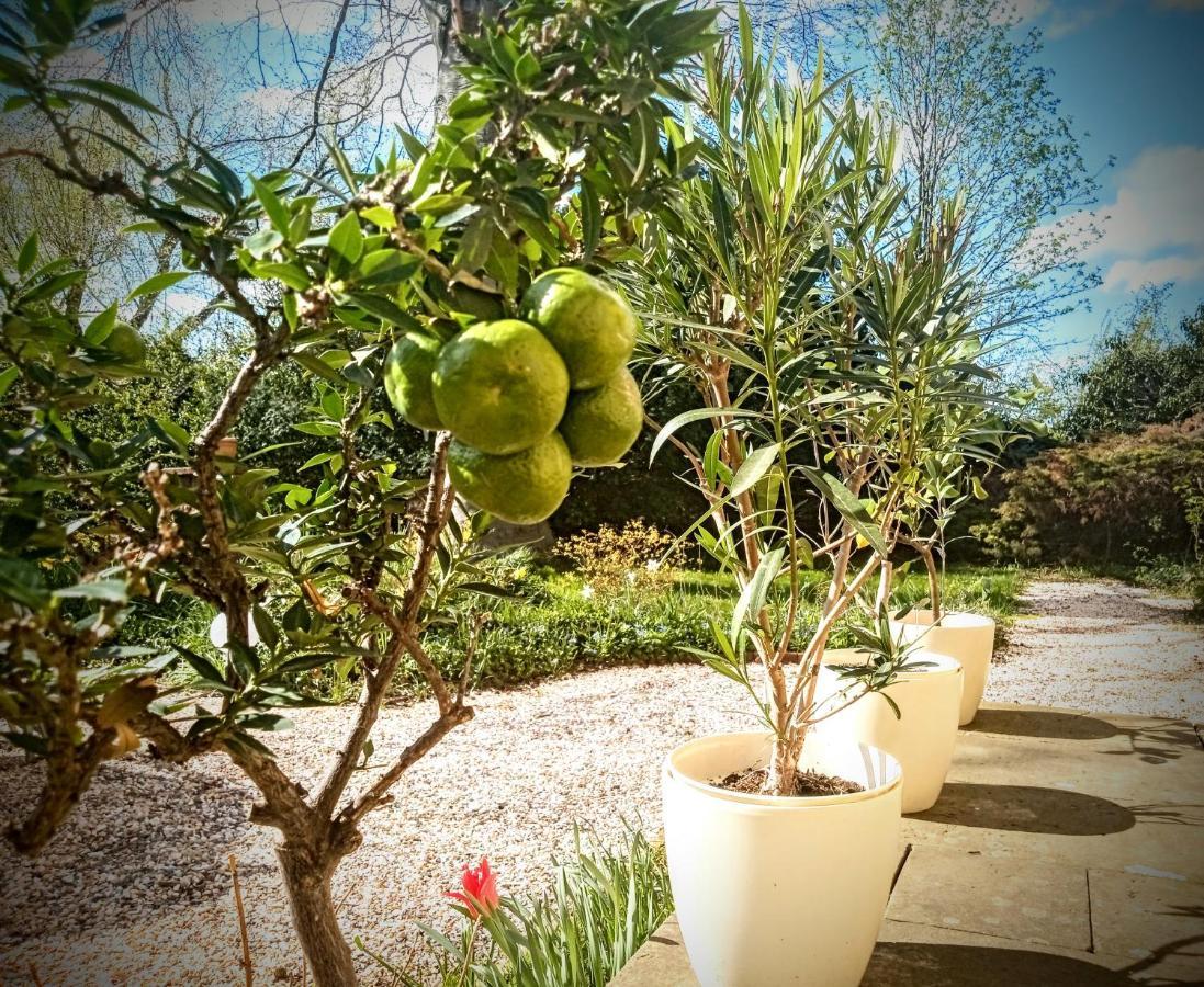 Ferienhaus Dr. Mueller Villa Meißen Dış mekan fotoğraf