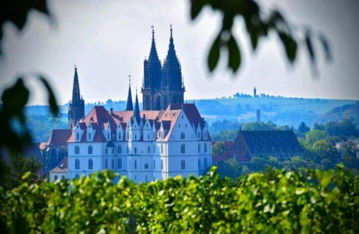 Ferienhaus Dr. Mueller Villa Meißen Dış mekan fotoğraf