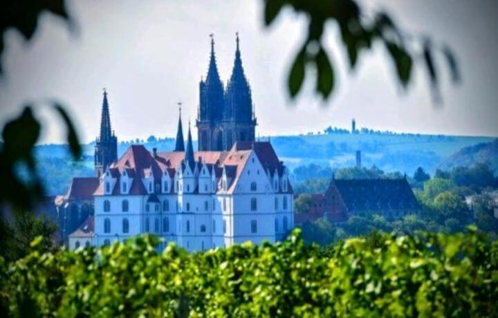 Ferienhaus Dr. Mueller Villa Meißen Dış mekan fotoğraf