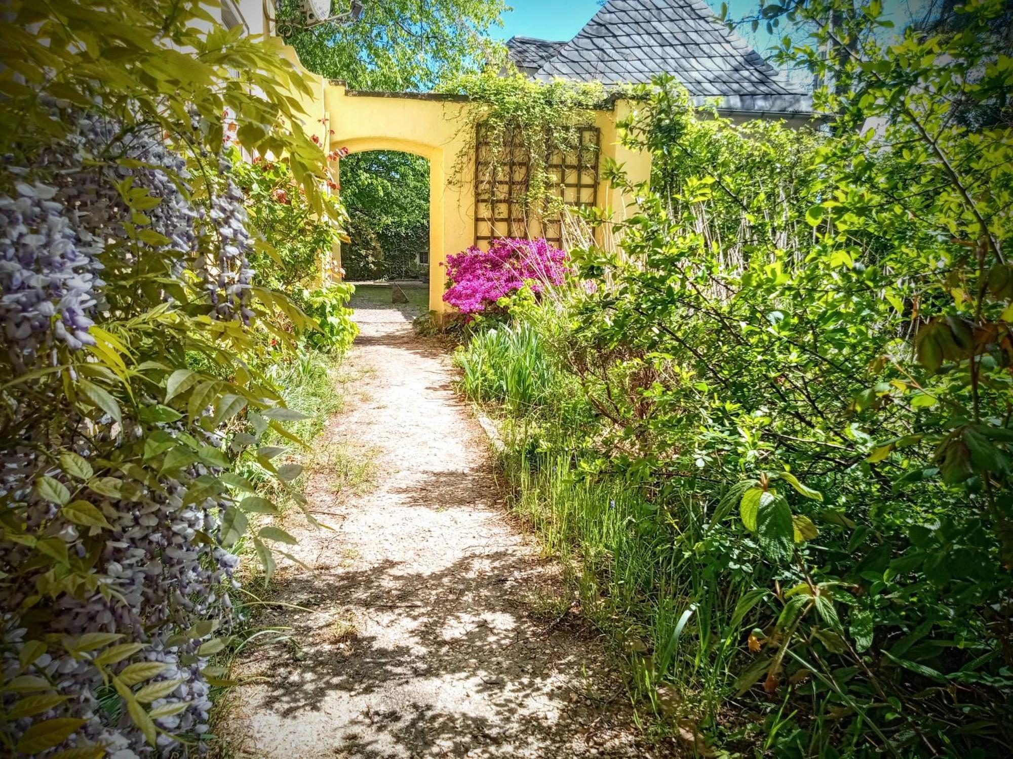 Ferienhaus Dr. Mueller Meißen Dış mekan fotoğraf