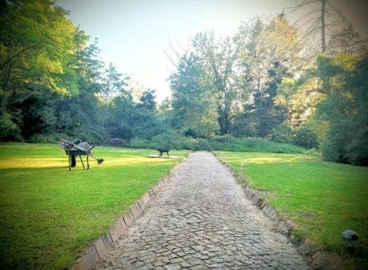 Ferienhaus Dr. Mueller Villa Meißen Dış mekan fotoğraf