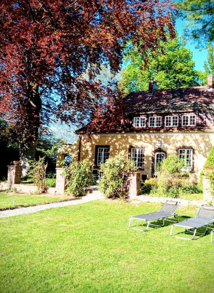 Ferienhaus Dr. Mueller Meißen Dış mekan fotoğraf